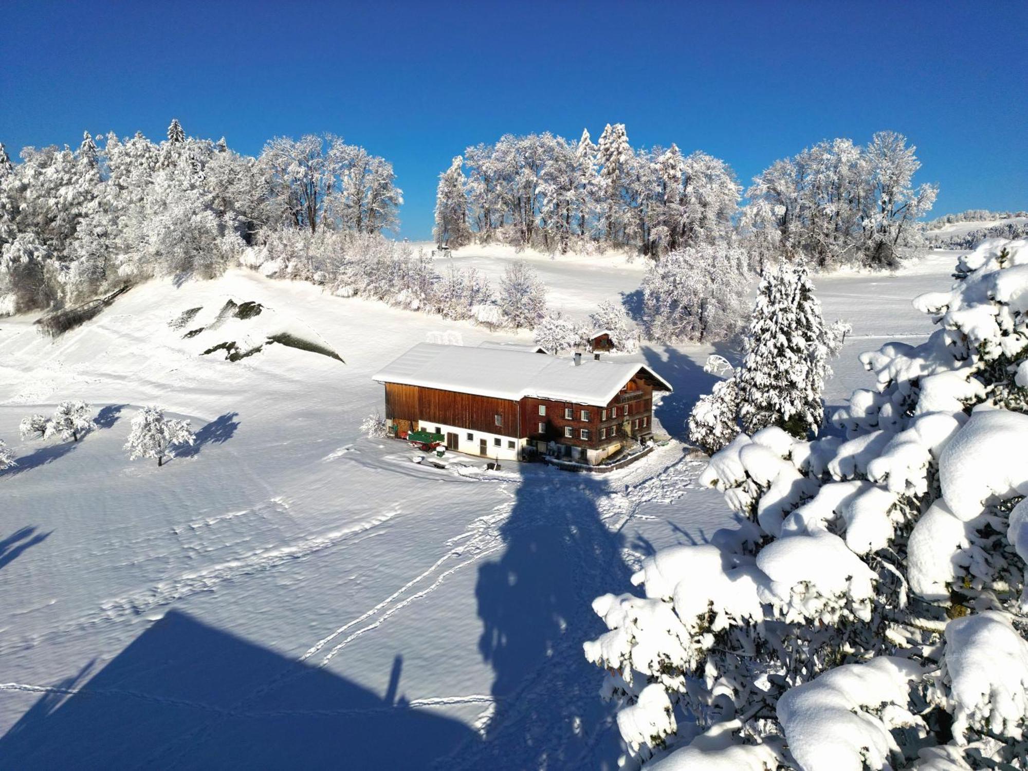 Bergoase Hohenegg Villa Lingenau Eksteriør bilde